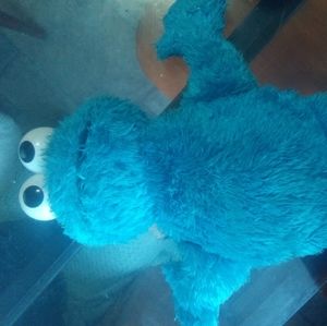 2/20 little cookie monster